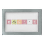 HAMLIN'S  De Gespen van de riem