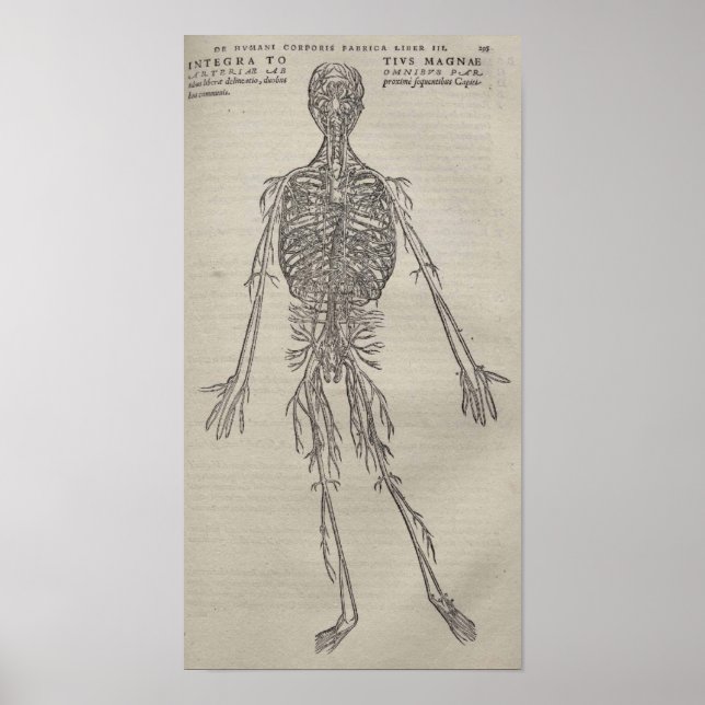 De Humani Corporis Poster (Front)