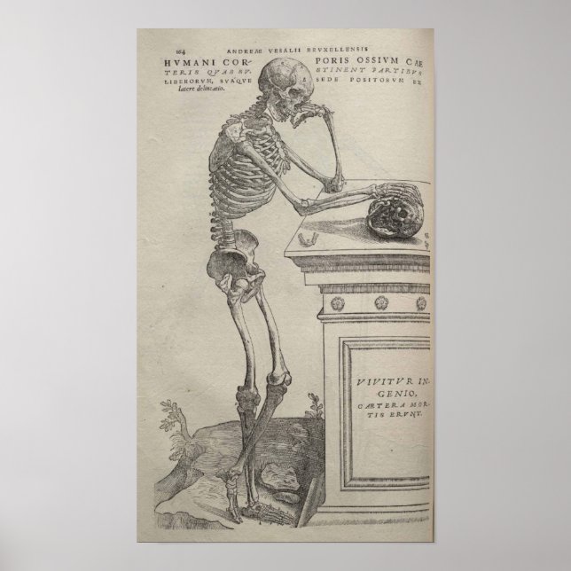 De Humani Corporis Poster (Front)