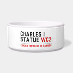 charles i statue  De Kommen van het huisdier Honden Etensbakje