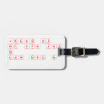 JAANTA HU BHT PYAR KARTI  HO  APNE BABU SE   De Labels van de bagage Reistas Label