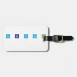 au mg cu ag pb   De Labels van de bagage Reistas Label