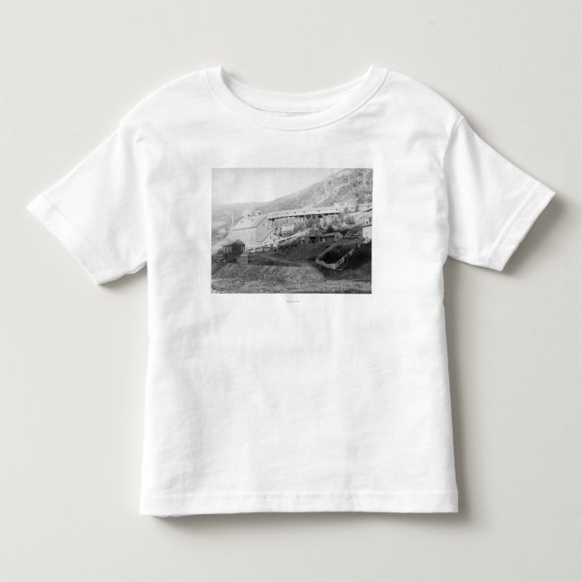 De Smet Gold Stamp Mill in Central City Toddler T-shirt (Front)