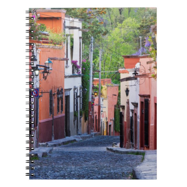 De Sollano Street, San Miguel De Allende Notebook (Front)