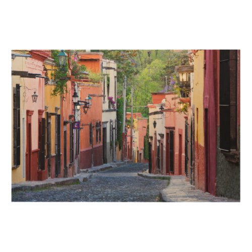 De Sollano Street San Miguel De Allende Wood Wall Art