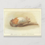 Dead Bird Christmas Card<br><div class="desc">What could be more festive than a dead bird? Merry Christmas!</div>