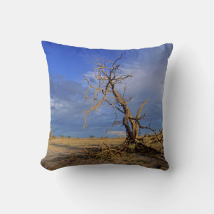 Dead Camel Thorn (Acacia Erioloba) Tree Throw Pillow