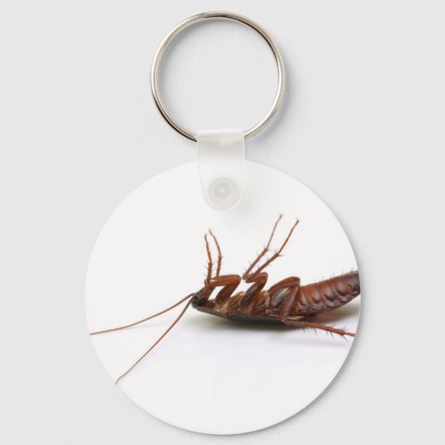 Dead cockroach keychain (Front)