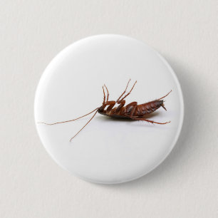 Dead cockroach pinback button
