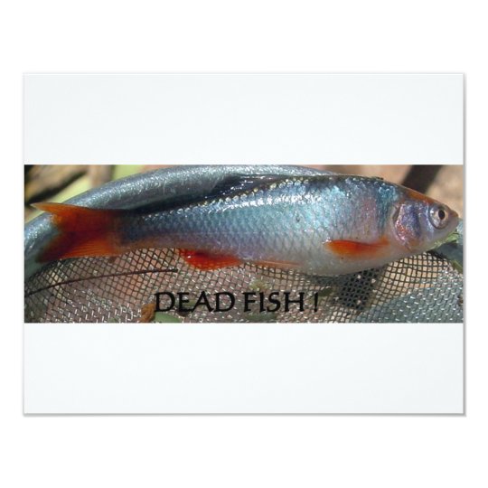 DEAD FISH CARD
