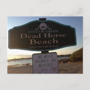 Dead Horse Beach Sign Salem Ma Photo Postcard by hiway9 at Zazzle
