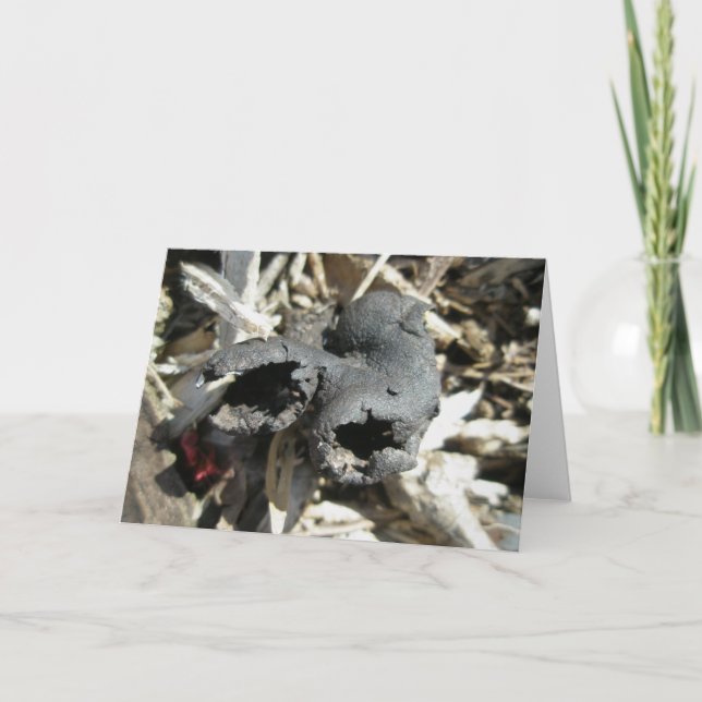 Dead Man's Fingers Mushroom Note Card (Front)