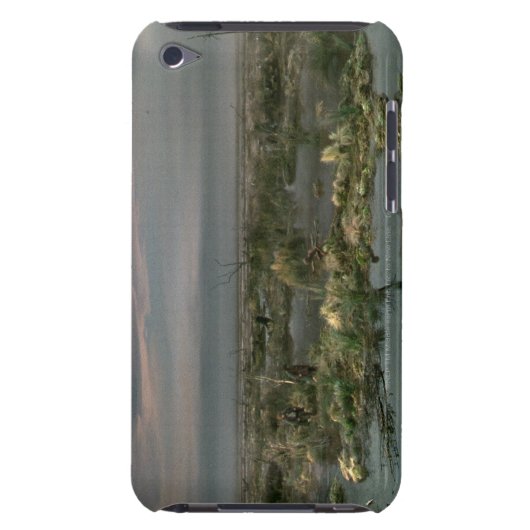 Dead Marshes iPod Touch Case (Back)