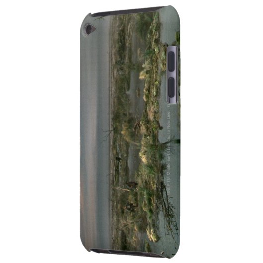 Dead Marshes iPod Touch Case (Back Left)