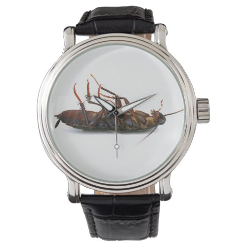 Dead roach watch