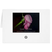 Dead Roses 1 Cards (Back Horizontal)