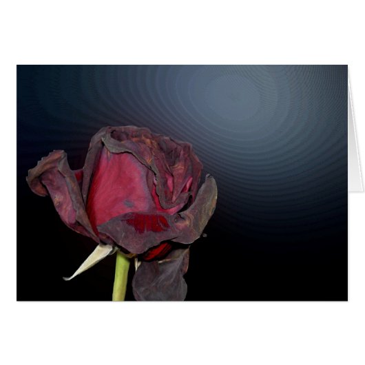 Dead Roses 1 Cards (Front Horizontal)