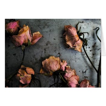 Dead Roses Dance - Blank Inside by shotwellphoto at Zazzle