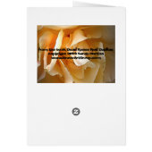 Dead Roses: Rose in bloom Cards (Back)