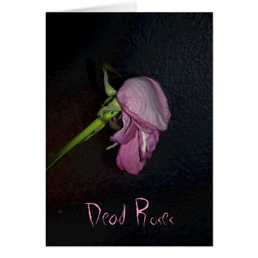 Dead Roses: www.GraceArtGroup.com Cards (Front)
