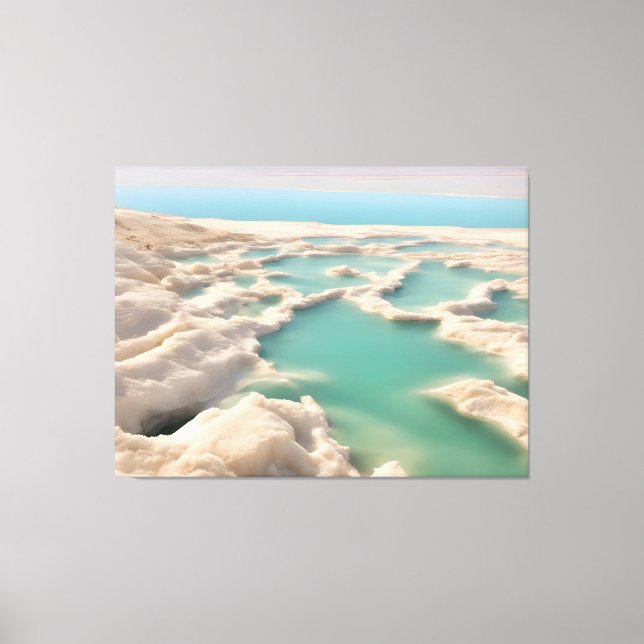 Dead sea in Israel Canvas Print (Front)