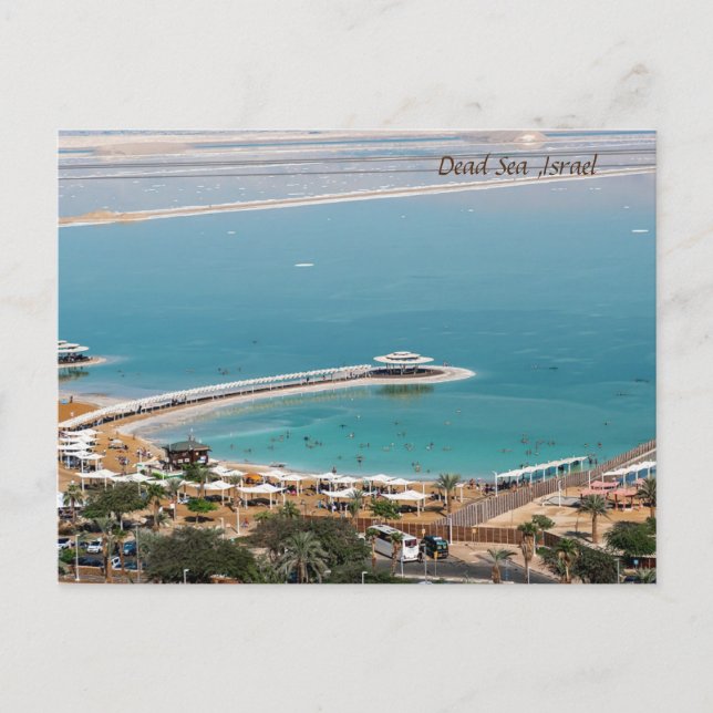 Dead Sea, Israel Holiday Postcard (Front)