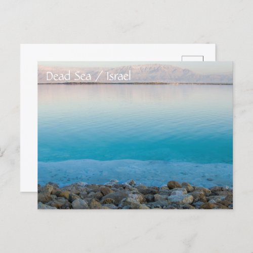 Dead sea Israel Postcard