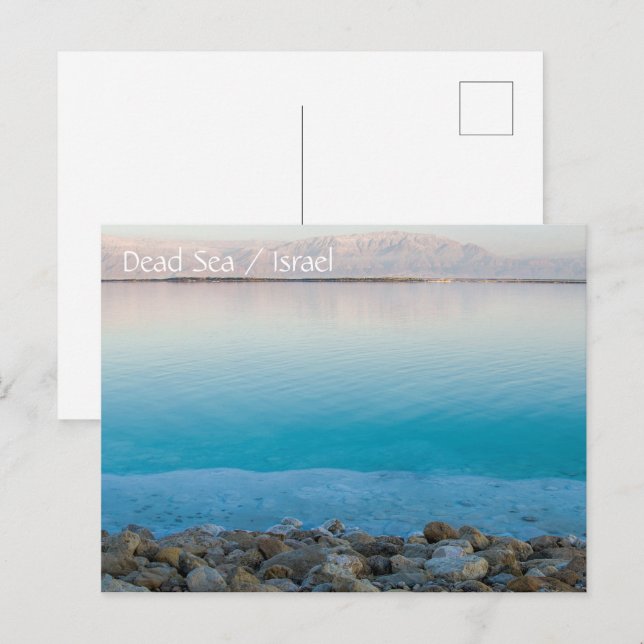 Dead sea Israel Postcard (Front/Back)