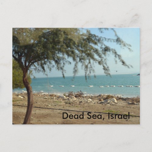 Dead Sea Israel Postcard