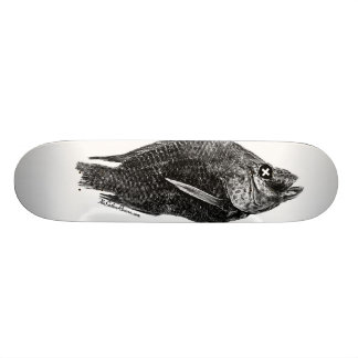 Dead Tilapia-Salton Sea Board