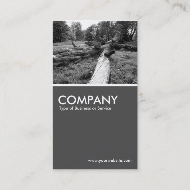 Dead Tree - 70pc Gray Business Card (Front)