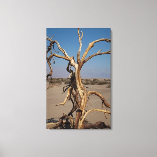 Dead Tree Canvas Print