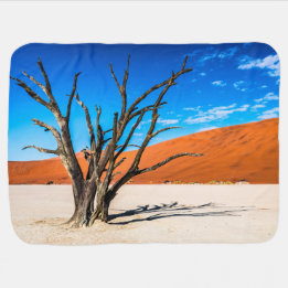 Dead tree in Deadvlei, Namibia Baby Blanket