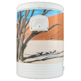 Dead tree in Deadvlei, Namibia Beverage Cooler