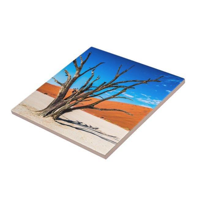 Dead tree in Deadvlei, Namibia Ceramic Tile (Side)