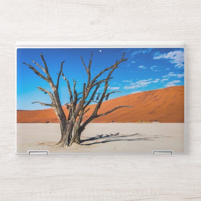 Dead tree in Deadvlei, Namibia HP Laptop Skin (Front)