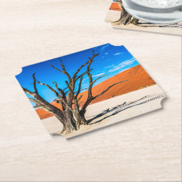Dead tree in Deadvlei, Namibia Paper Coaster