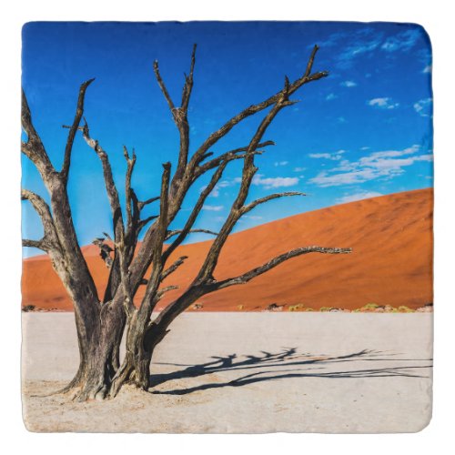 Dead tree in Deadvlei Namibia Trivet