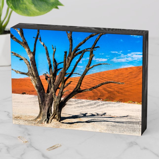 Dead tree in Deadvlei, Namibia Wooden Box Sign (In Situ Horizontal)