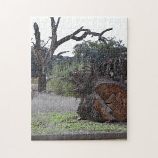 Dead Tree Jigsaw Puzzle