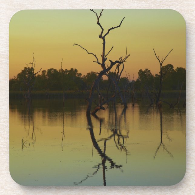 Dead trees reflected in Lily Creek Lagoon, dawn Coaster (Front)