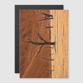 Dead Vlei, Namibia (Front/Back)