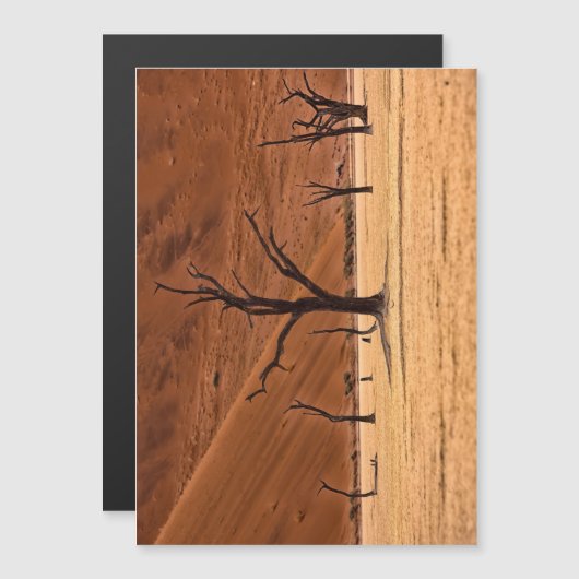 Dead Vlei, Namibia (Front/Back)