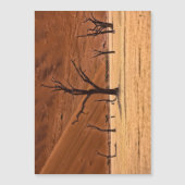 Dead Vlei, Namibia (Front)
