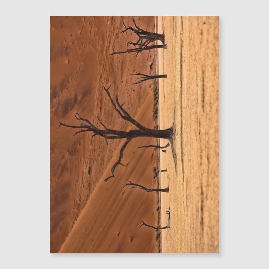 Dead Vlei, Namibia (Front)