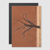 Dead Vlei, Namibia (Front/Back)