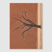 Dead Vlei, Namibia (Front)