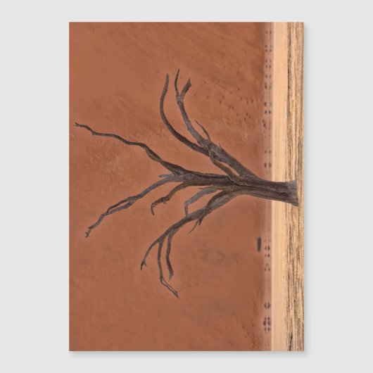 Dead Vlei, Namibia (Front)