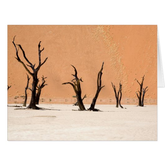 Dead Vlei, Namibia Cards (Front Horizontal)