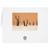 Dead Vlei, Namibia Cards (Back Horizontal)